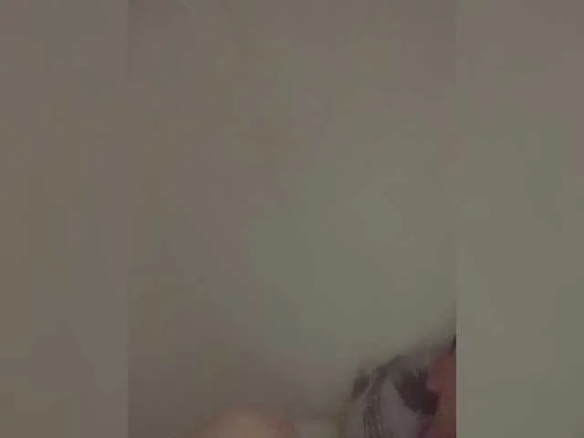 ArtYlaa webcam stream