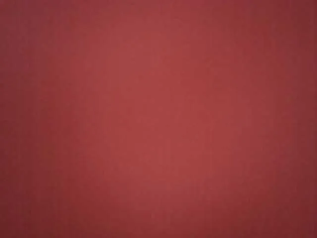 bettyyy webcam stream