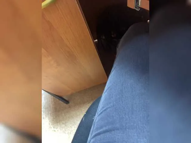 Molii-Molii35's Thumb Image