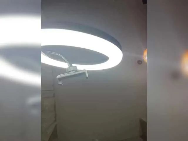 MollyMo webcam stream