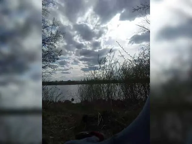 WILD-love-WILD Image 5