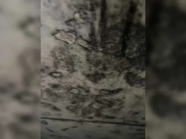 Yoursweetcouple Image 8