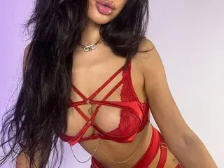 cattitude webcam stream